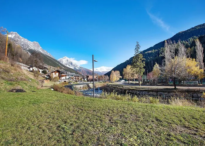 シャレー Serenella *